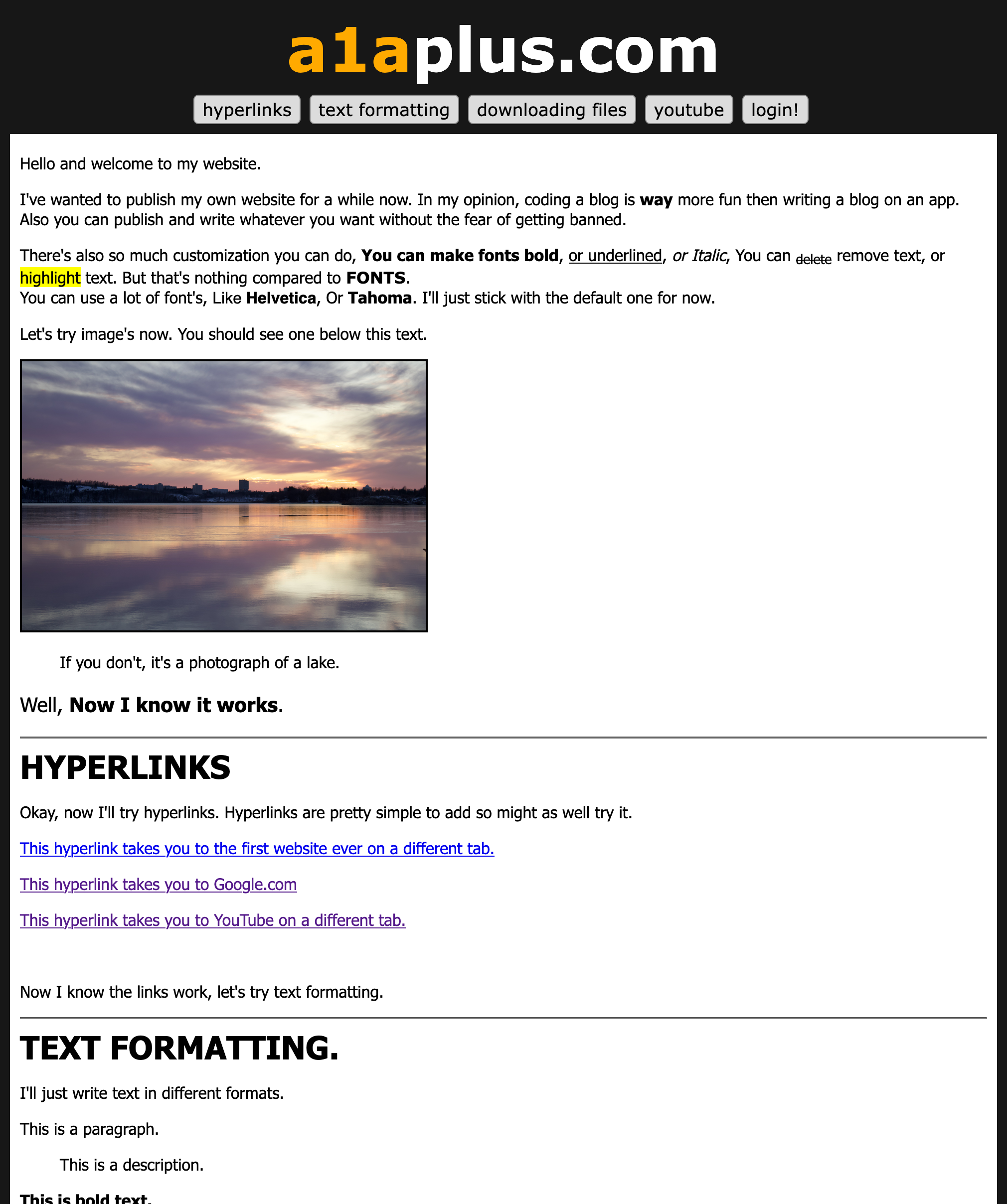 The first homepage I made in late 2023.