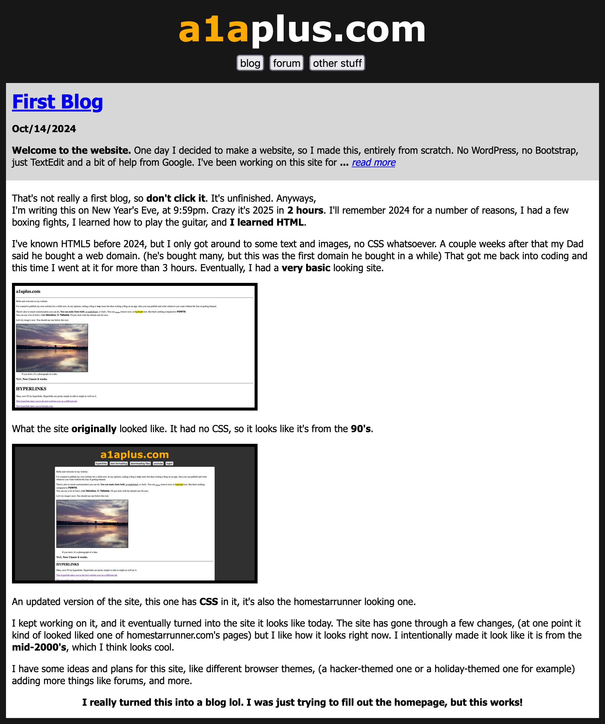 The second homepage I made on December 31, 2024.