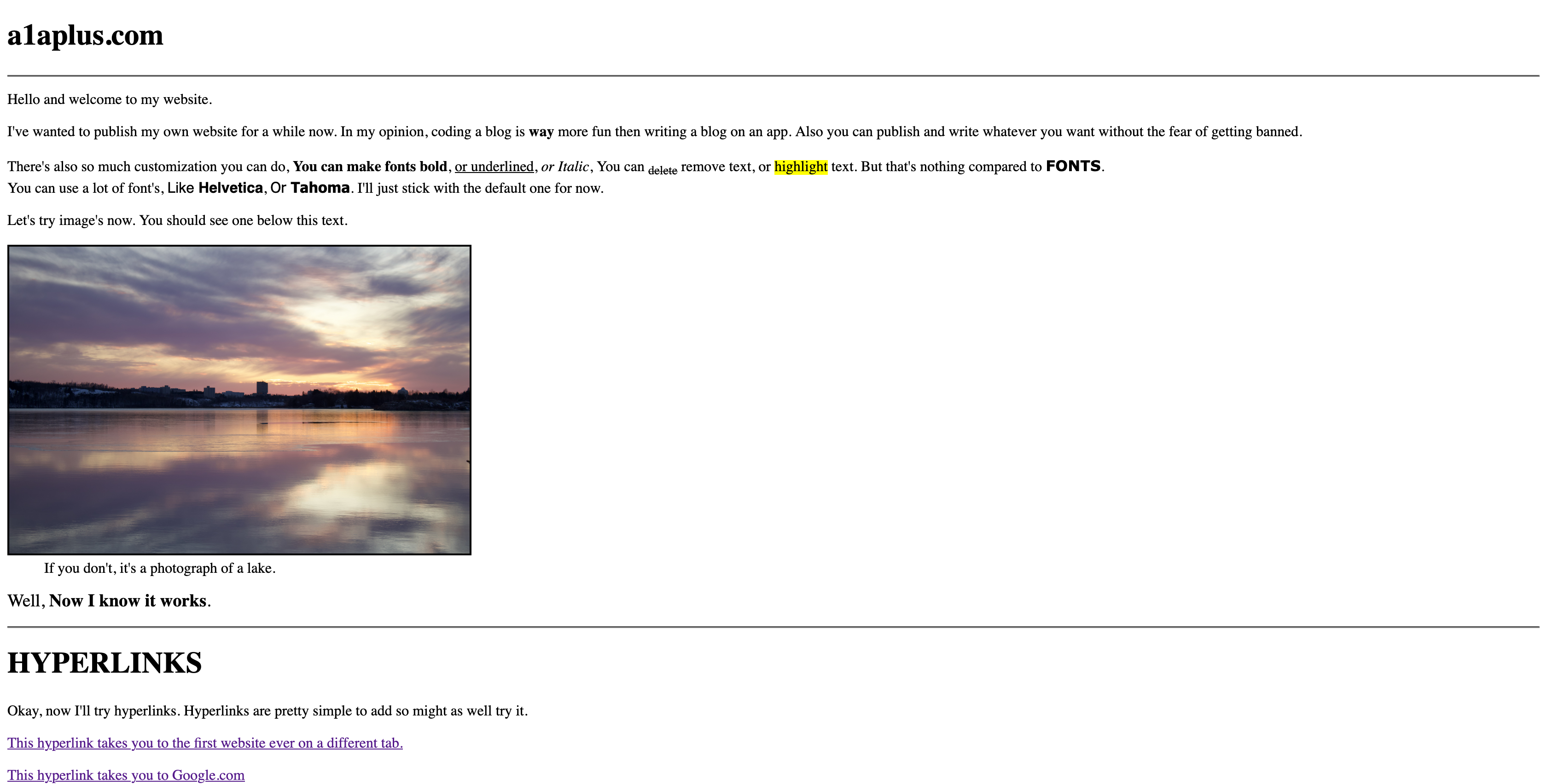 What the site first looked like.